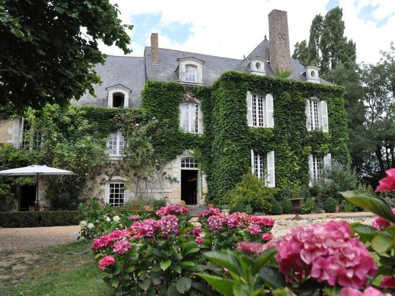 Hotel La Marronniere Cheffes-sur-Sarthe Exteriér fotografie